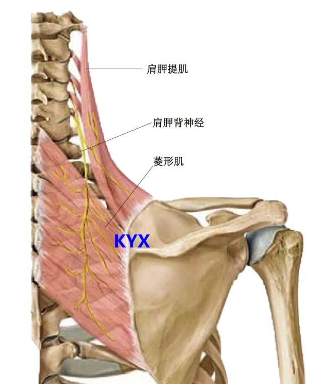 该如何应对?详细告知您