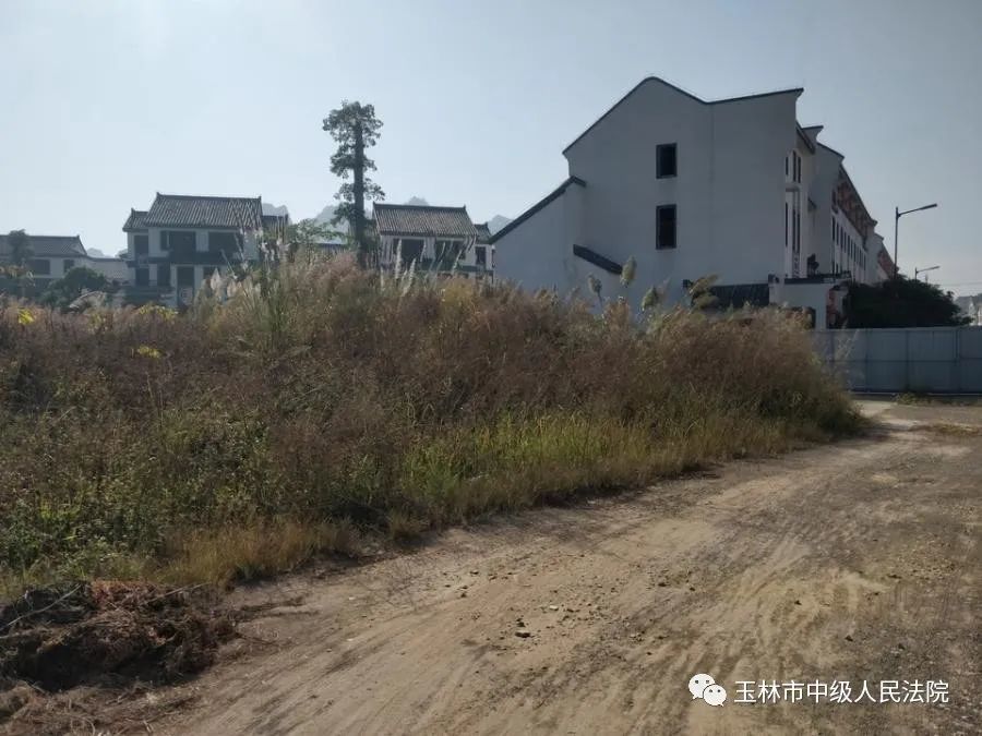 玉林市玉东新区茂林镇高陂石村,人民东路北侧的国有土地使用权1最新