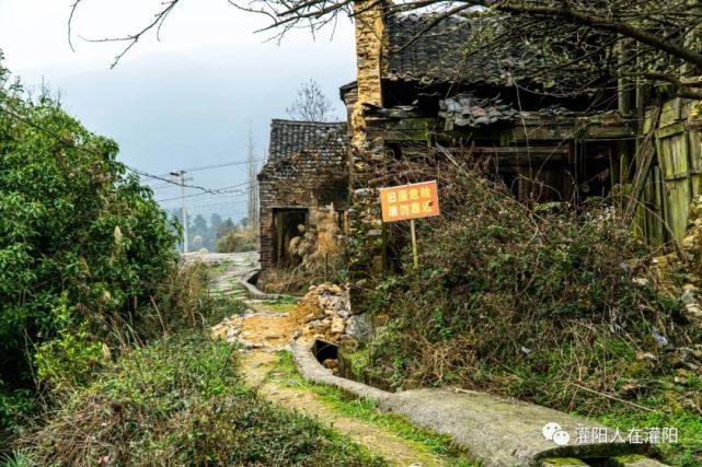 图说灌阳:新圩边岗与枫树山