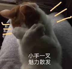 本次表情包由表情窝整理,大部分表情包已获版本授权,小部分由网络下载