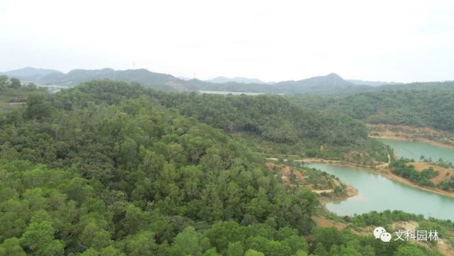 清林径水库位于深圳市龙岗区,是深圳市最大的供水调蓄水库和重要生态