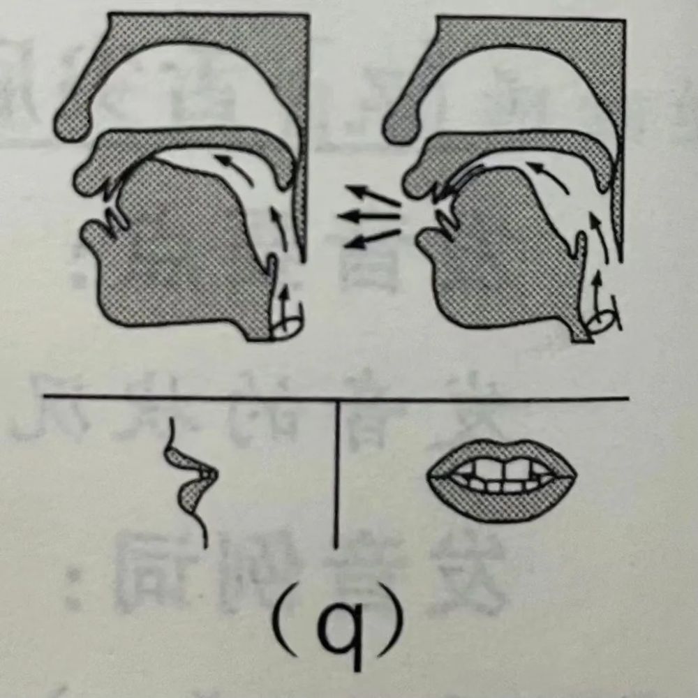 有声配音普通话基础发音jqxgkh发音及练习