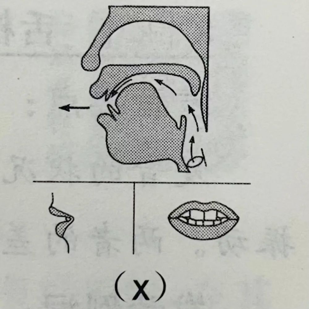 发音时,舌面前部接近硬腭前部,形成窄缝,软腭上升,堵塞鼻腔通路,声带