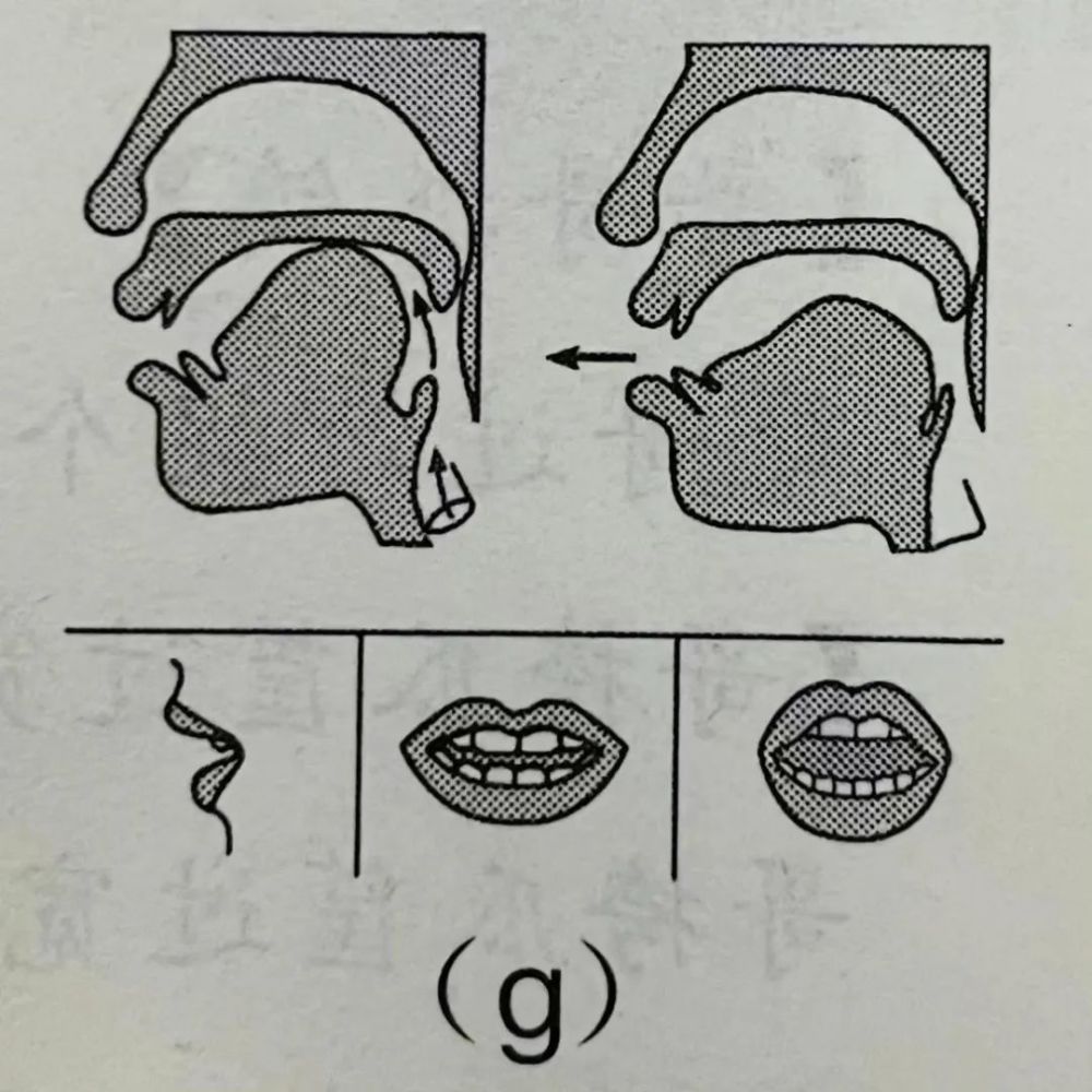 有声配音普通话基础发音jqxgkh发音及练习