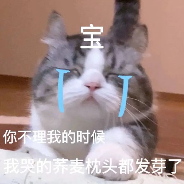 表情包:我疯了 你呢