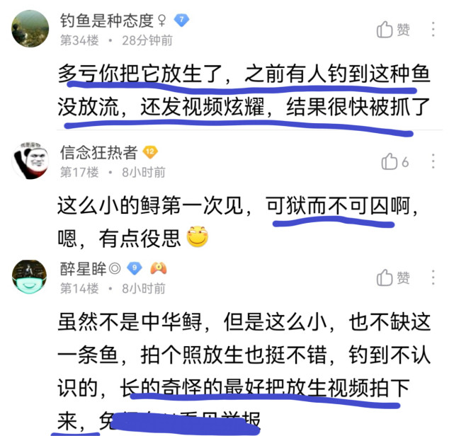 "长江鲟是国家一级保护动物,数量极其稀少,在野外意外钓获这种鱼类