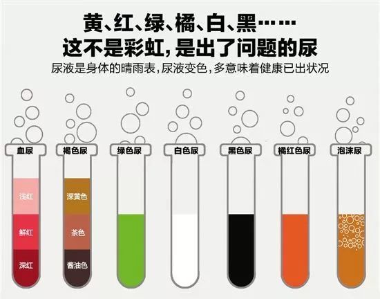 吃红肉火龙果后会可能排浅红色尿液;服用痢特灵后,尿液会呈深黄或棕