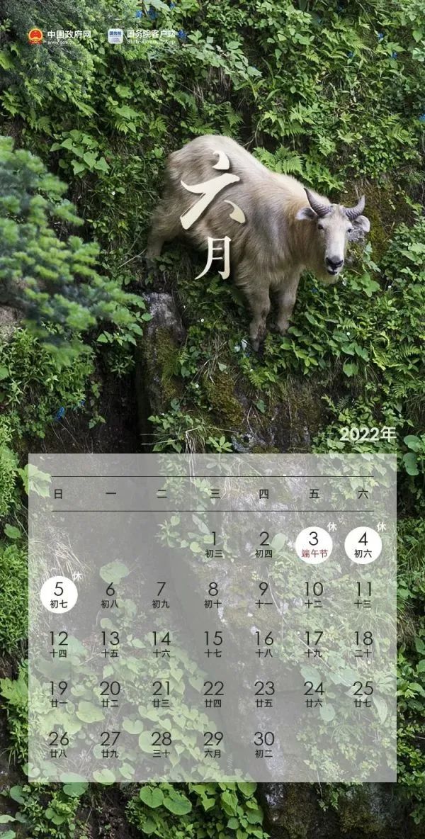 600_1184竖版 竖屏
