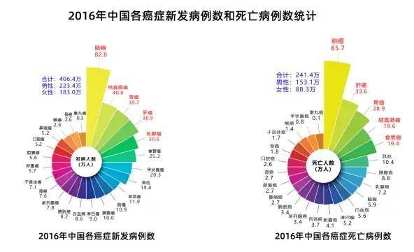 癌症发病密度和发病率有何不同?