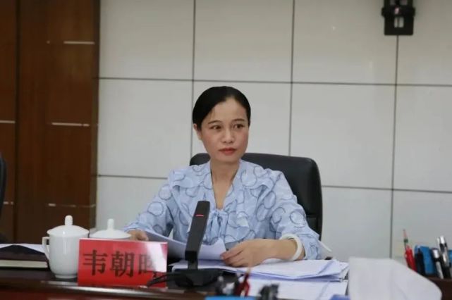 推进会(扶绥县)在我县召开|扶绥县|韦朝晖|乡村振兴|粮食|市委|崇左市