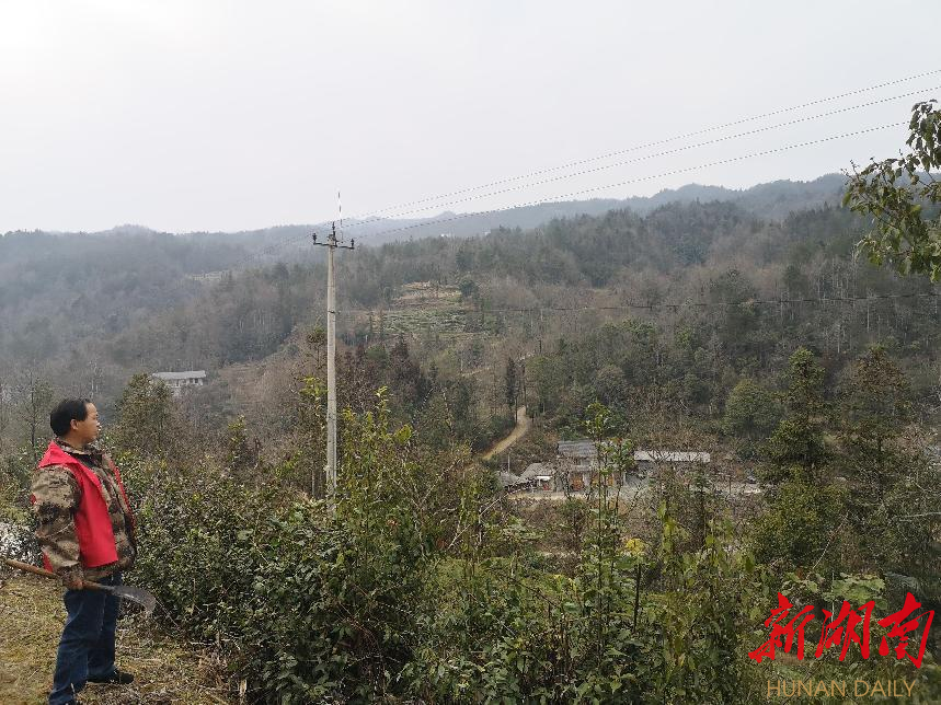 守护青山情未了记石门县罗坪乡长梯隘村护林员覃进民
