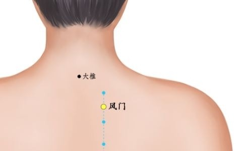 五指并拢,小拇指抵住肩胛骨的上端,此时中指之间所在的位置就是风门穴