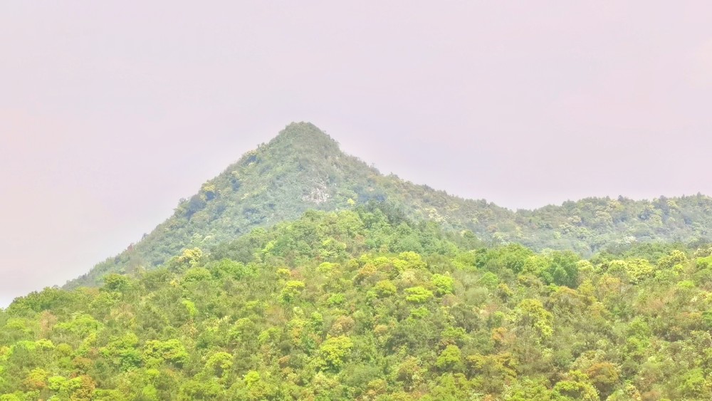 惠州惠东寨场山森林公园竹篙晒网山顶风景如画靠近九龙峰尖锐