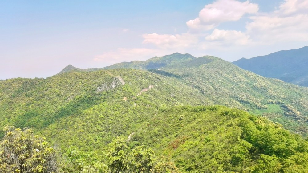 惠州惠东寨场山森林公园竹篙晒网山顶风景如画靠近九龙峰尖锐