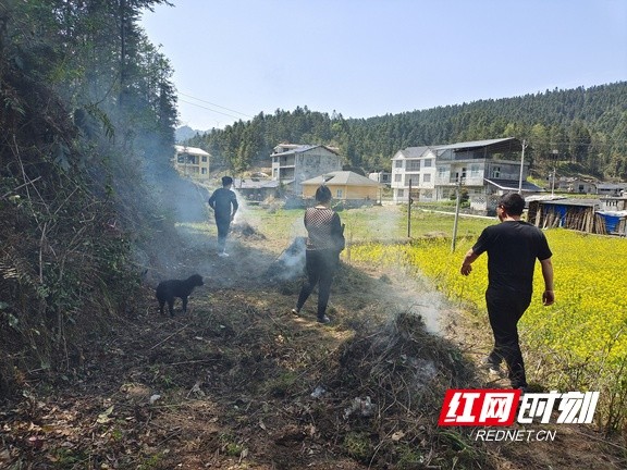 组图丨龙山县大安乡:森林防火不松劲