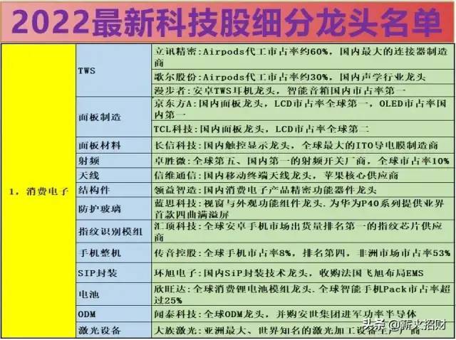 2022年最全的科技股细分龙头股汇总