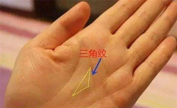 老祖宗俗语三角纹在手富到九十九啥是三角纹准不准