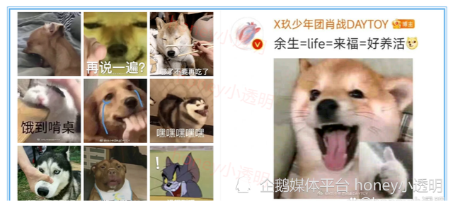 看完这些访谈,更加了解肖战了!_腾讯网