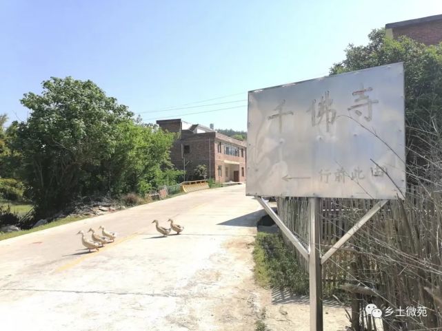 【乡村发现】:赣县区湖江镇庄前村有一座"千佛寺"