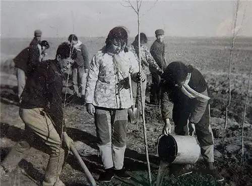 上洞组灭门案,17人殒命,有两位还是凶手的妹妹,仇恨真的太可怕