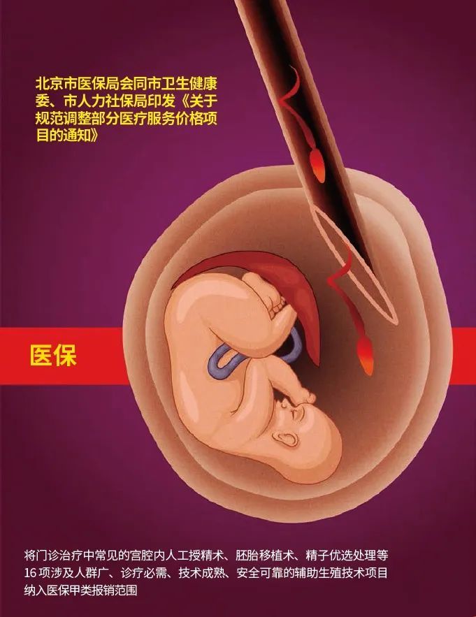 成都“想生生不出”!多项辅助生殖技术纳入医保的背后迎接生育挑战(图1)