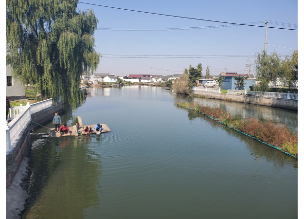 据该村党总支书记卢树祥介绍,这"水上绿岛"上面长的是一种名叫菖蒲的