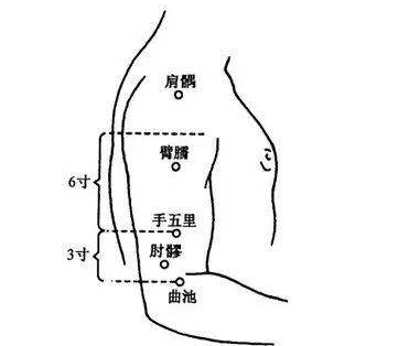 臂臑,又名头冲,颈冲.在臂外侧,三角肌止点处.