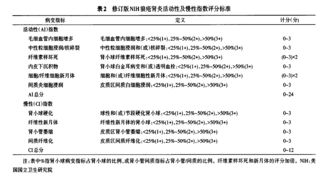 一文梳理狼疮性肾炎发病机制,诊断及分型