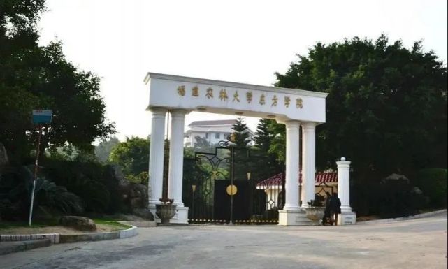 转设成为民办本科高校,更名为福州工商学院,随后琅岐校区便基本空置