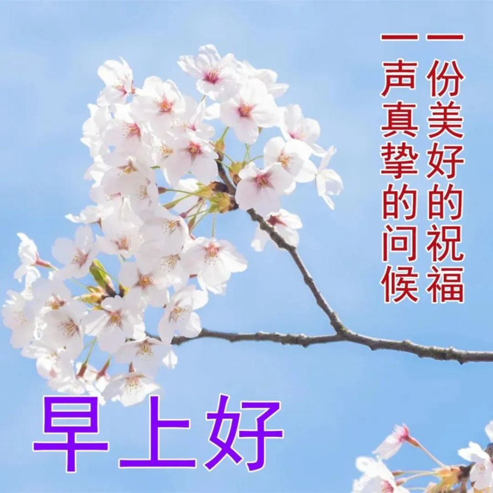 8张最美春日风景早上好图片带祝福语新的一天早安问候祝福语大全唯美