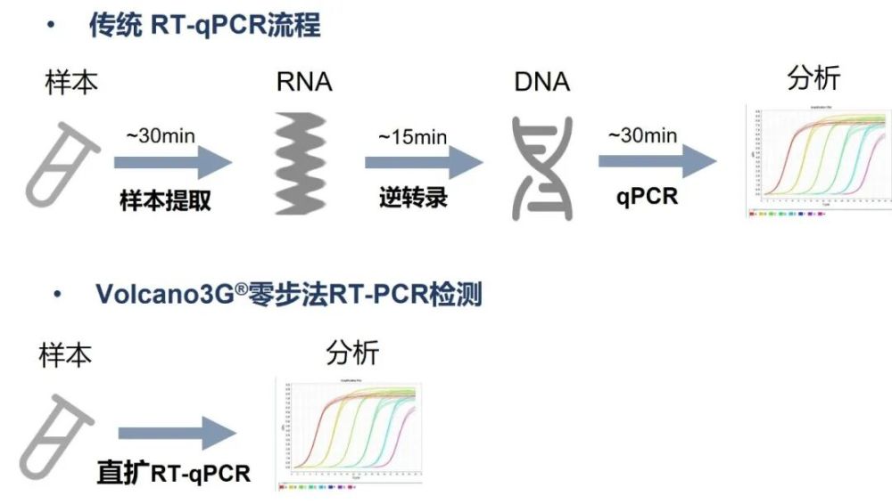 爽快到飞起的感受你从未拥有零步法rtpcr检测