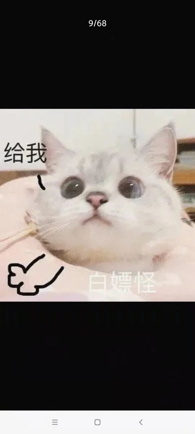 猫咪白嫖怪表情包