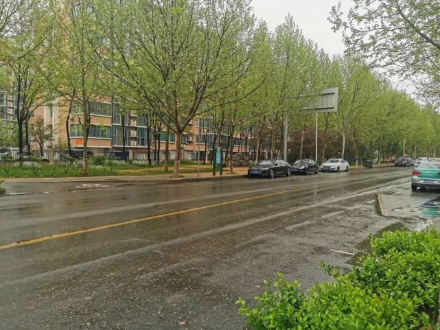 春雨润桓台