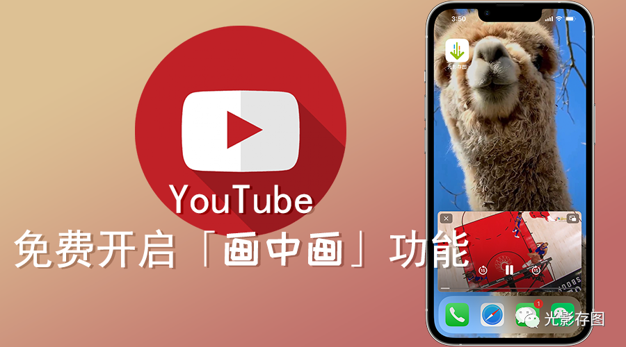 YouTube会员账号购买