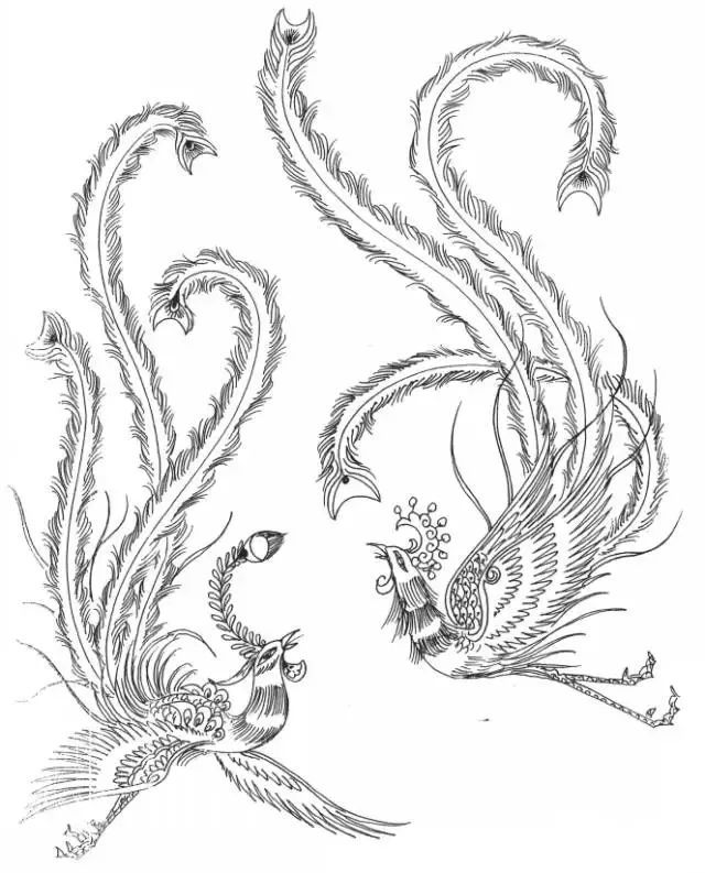 书画联盟丨龙凤白描图谱—凤