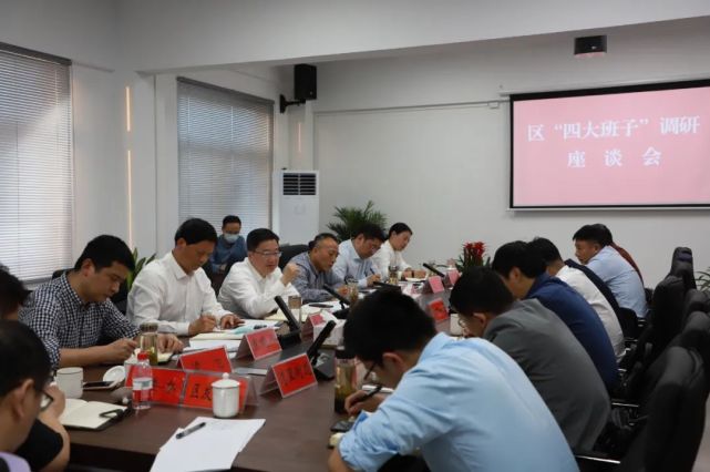 鸠江区四大班子调研鸠江经济开发区