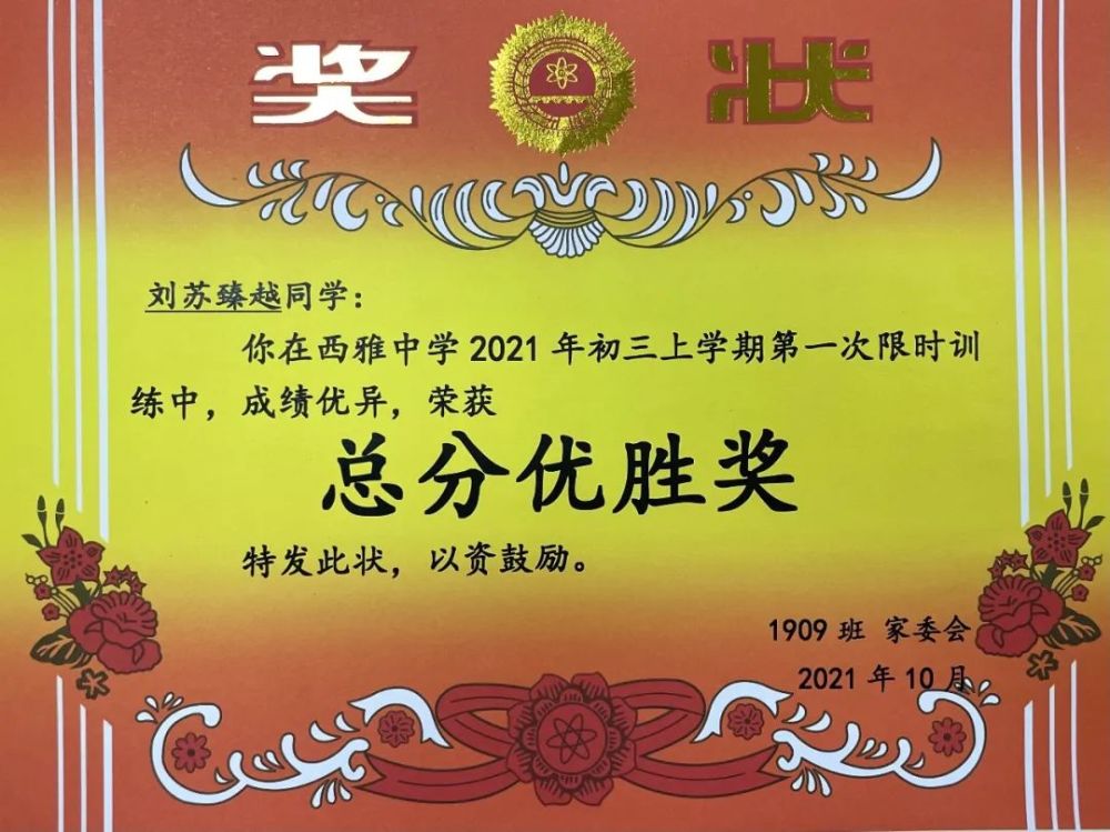 西雅少年丨刘苏臻越追逐光成为光