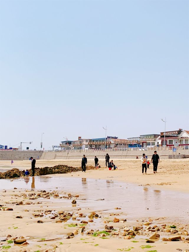 日照旅游,免费赶海地点攻略,来日照赶海去哪里