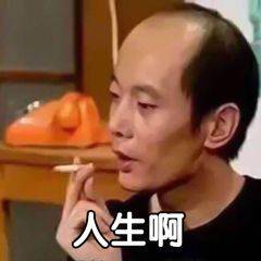 表情包:人生艰难,躺平了表情包