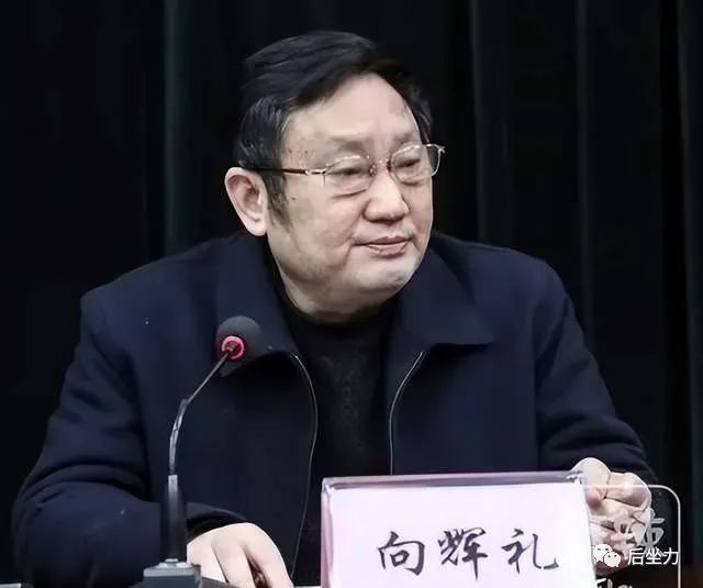 四川"0元购"股权纠纷,过亿资产被套路,牵出向辉礼贪腐大案