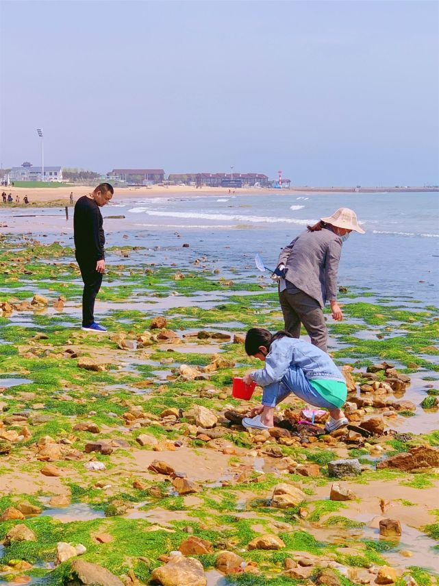 山东日照赶海地大盘点人少又能免费的日照赶海好去处