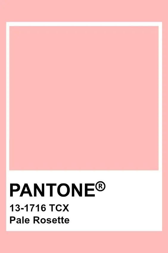 在 pantone 色里,粉色有"温柔粉"兴奋粉"玫瑰粉"樱花粉"糖果粉"