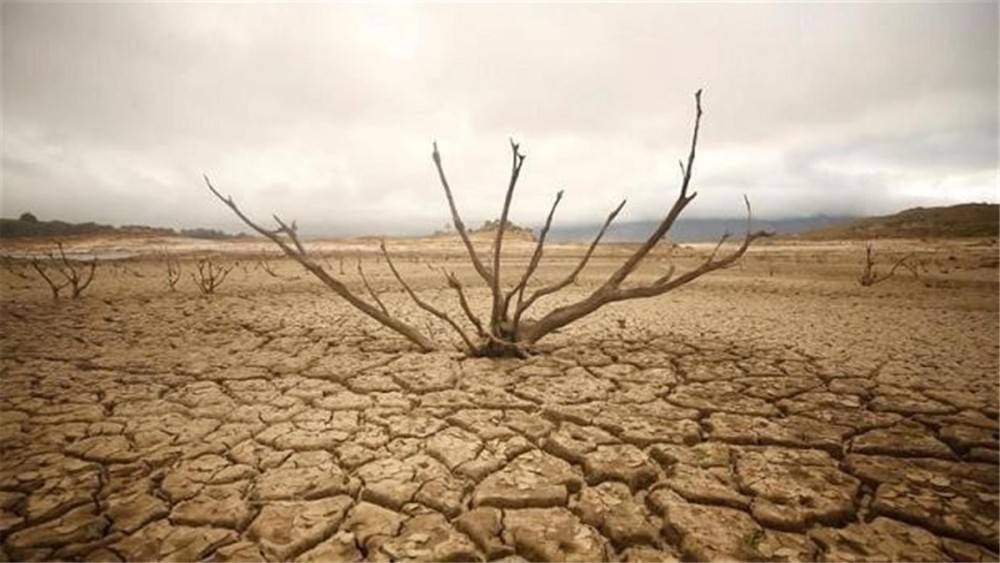 地理位置的原因导致非洲旱季非常干旱,而雨季却无