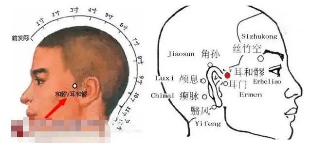 耳和髎清热散风通窍聪耳