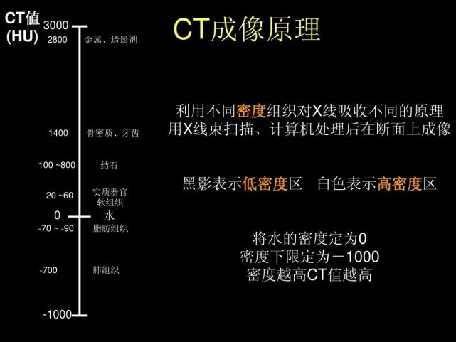 超细的腹部ct入门精美解剖图谱