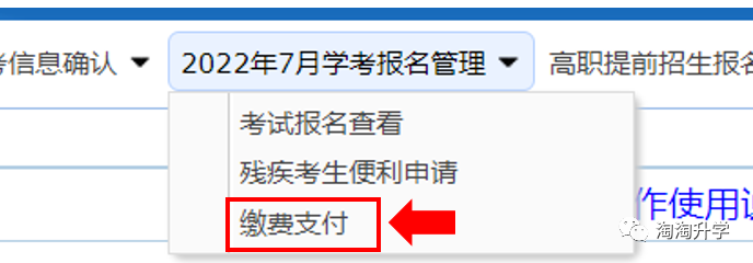 报考高级私人形象设计师需要条件_高级经济师报考条件山东_报考高级人力资源管理师条件