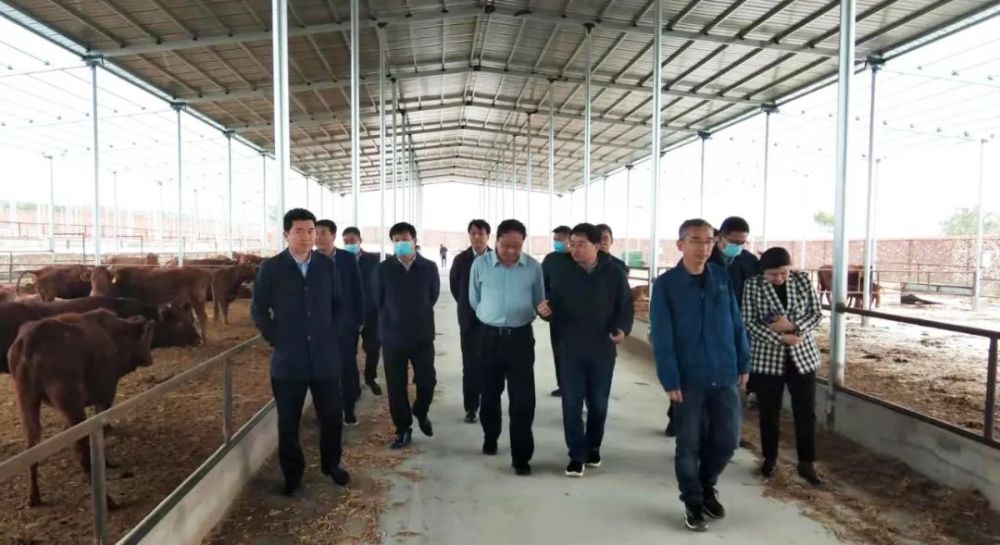 平顶山市副市长王永记一行莅临河南雪花红牛科技有限公司参观调研