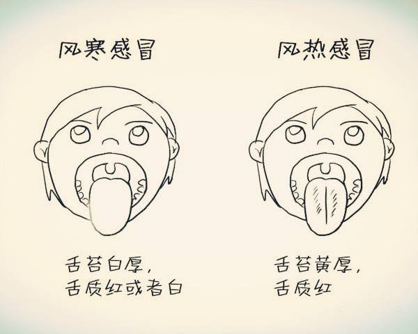 老中医教你它是身体自带的感冒药风寒风热都能治