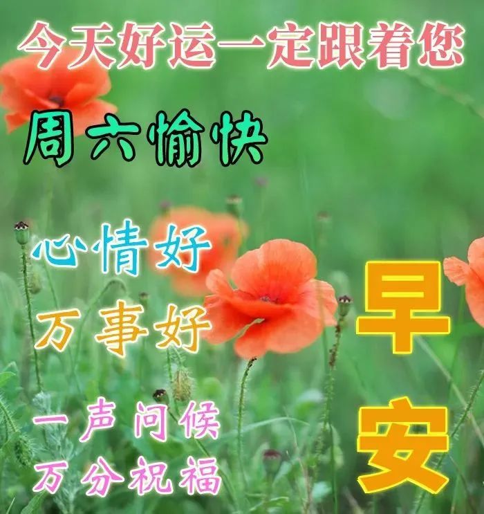 最美5月星期六清晨问候早上好的句子带图片祝福早上好文字图片