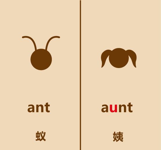 懒人英语简笔画aunt